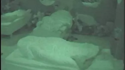 Chupar los gays videos de famosas argentinas desnudas y se llena la boca de esperma